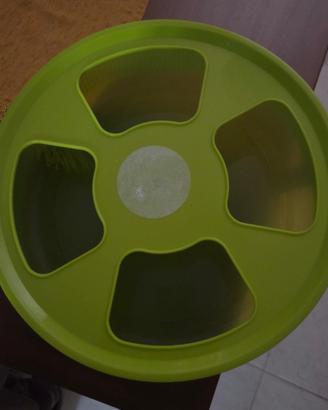 Ruota 33 petauro dello zucchero