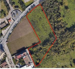 Terreno Agricolo Cardito P.co Taglia 11028 mq