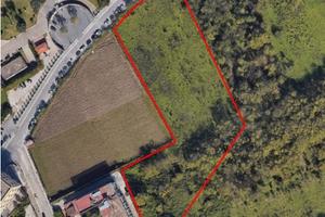 Terreno Agricolo Cardito P.co Taglia 11028 mq