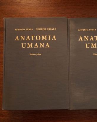 libri