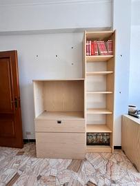Mobile TV e libreria (venduti anche separatamente)