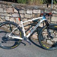 MTB MEGAMO CARBONIO