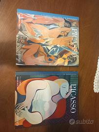 volume 1 e 2 Picasso