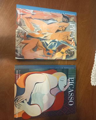 volume 1 e 2 Picasso