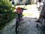 Immagine 6