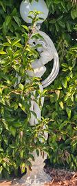 statua da giardino 