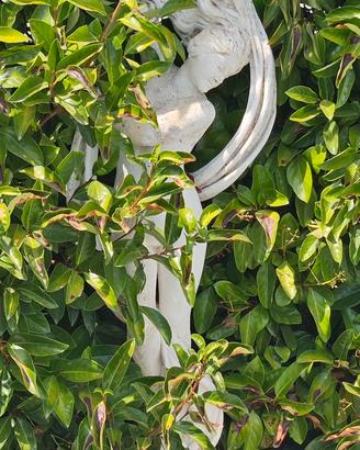 statua da giardino 
