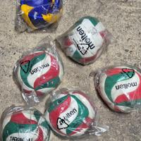 Palloni da pallavolo