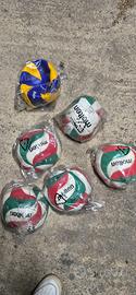 Palloni da pallavolo