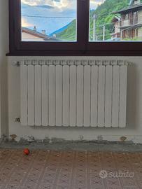 Radiatori in Alluminio