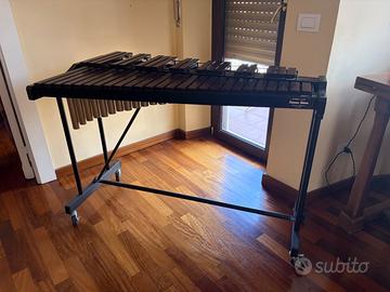 Xilofono professionale