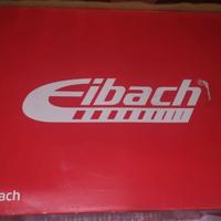 Molle assetto Eibach Sportline 500 595 695 Abarth