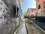 Immagine 11