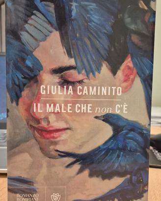 "Il male che non c'è" di Giulia Caminito