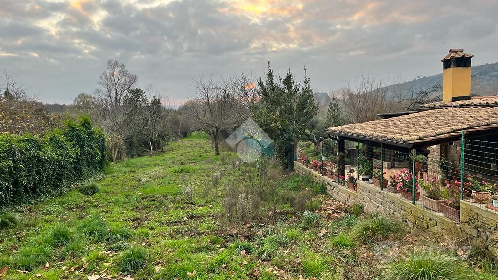 TER. AGRICOLO A TREVIGNANO ROMANO - Vista 4