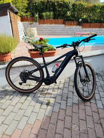 MTB elettrica motore Bosch 800w