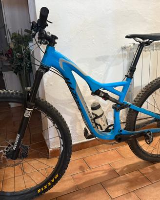 specialized FSR