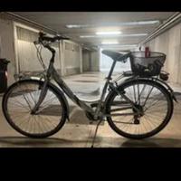 bici da donna con doppio cestino