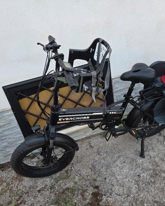  bici elettrica  250w
