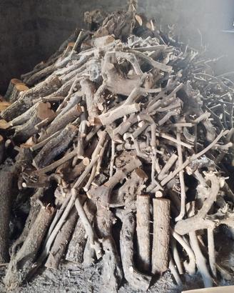 Legno di Ulivo
