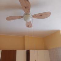 ventilatore a soffitto con lampada e lampada soffi