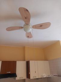 ventilatore a soffitto con lampada e lampada soffi