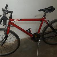 Mountain bike 26" Colnago