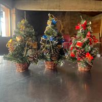 Set alberelli natale