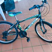 bicicletta ragazzo 24 pollici