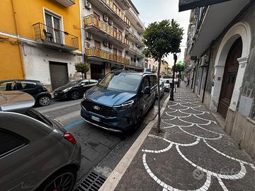 Tourneo custom custom model year 2025