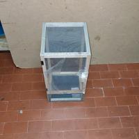 Teca insetti stecco, rettili, camaleonte 50cm