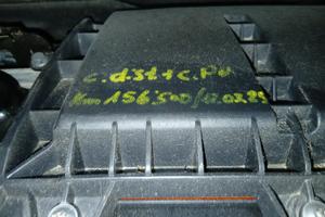 c3 picasso Feltre 