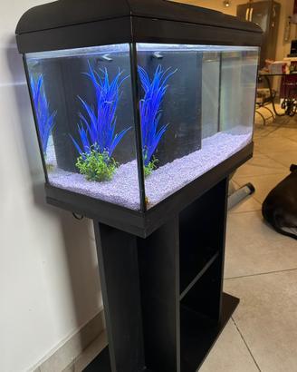 Acquario completo di mobietto e accessori