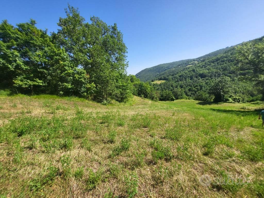 Terreno di 10000 m² a Chiusi della Verna - Vista 3