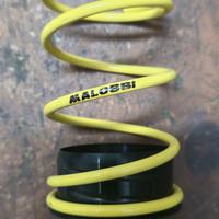 molla malossi gialla 