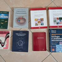 Anatomia funzionale del sistema nervoso