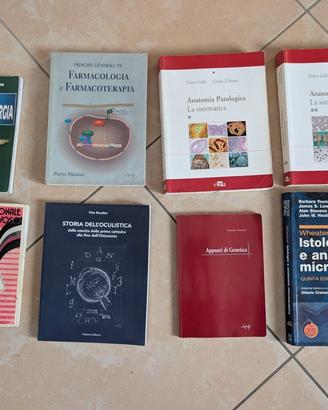 Anatomia funzionale del sistema nervoso