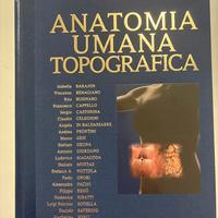 Anatomia Umana Topografica, Anastasi