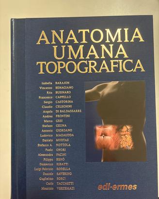 Anatomia Umana Topografica, Anastasi