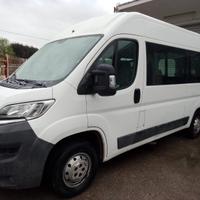 Ducato 130cv vetrato disabili