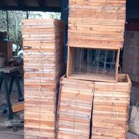 telaini da nido  api apicoltore