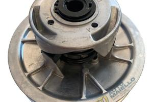 variatore aixam ligier microcar chatenet grecav