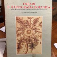 Erbari e iconografia botanica – Allemandi