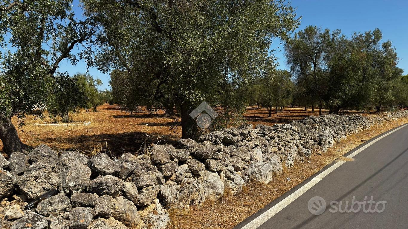 TER. AGRICOLO A GROTTAGLIE - Vista 2