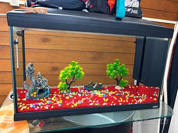 Acquario completo