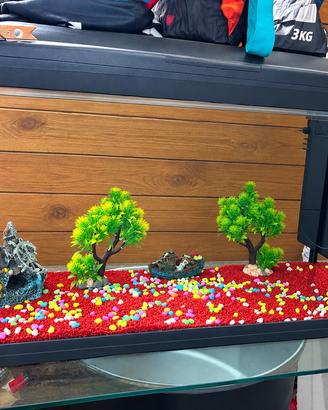 Acquario completo