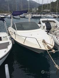 Barca a motore semicabinata