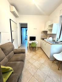 Piccolo bilo primo piano zona bandinu annuale