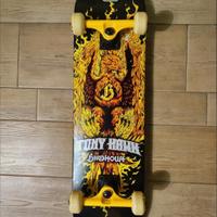 Skateboard Tony Hawk Birdhouse
