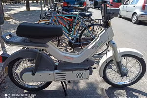 Motorino ATALA GREEN